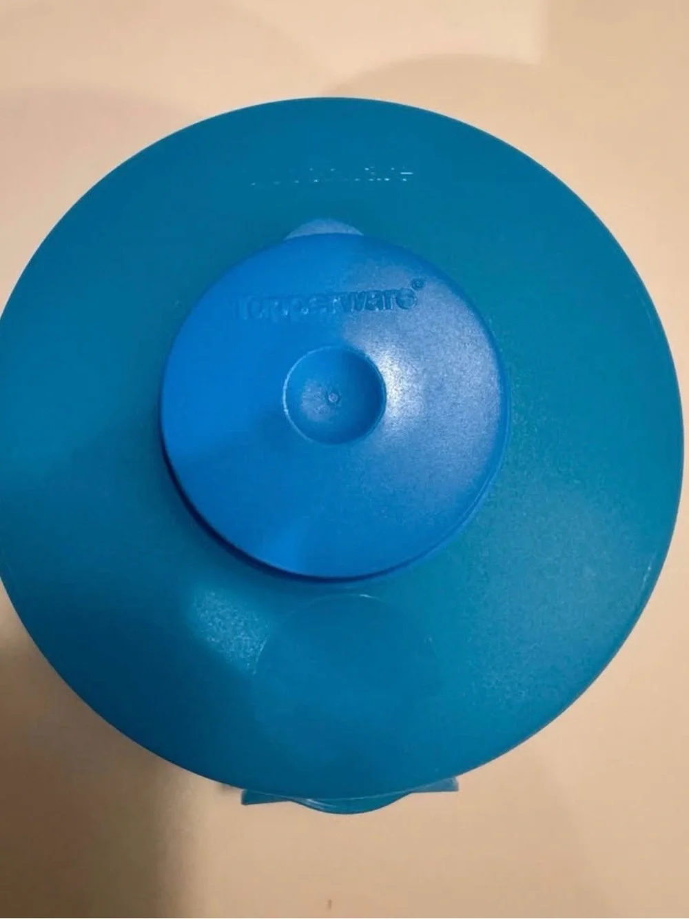 Tupperware Bagel/Sandwich Keeper + Smidget Container |Aqua
